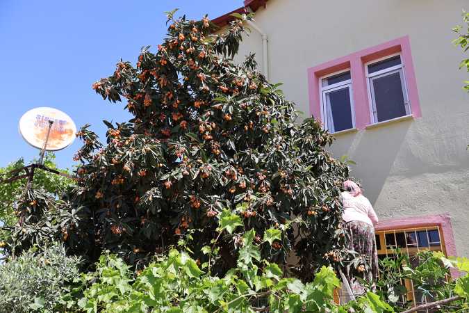 Not to explain, only to be